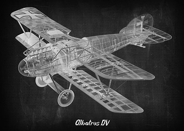Albatros DV
