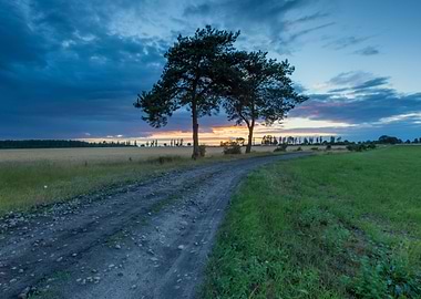 Sky Grass Field Meadow Lan