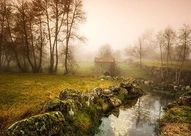 River landscape with fog