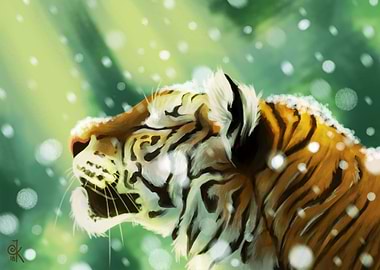 Tiger and snowflakes