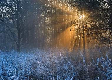 Frosty Frost Rural Season