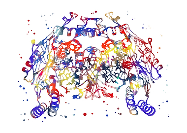 Nitric oxide synthase