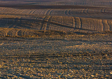 Rural Field Land Nature La