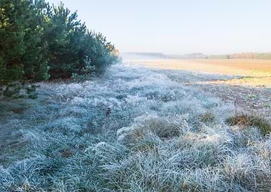 Frosty Frost Rural Season