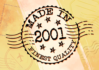 Made in 2001 Birthday Gift