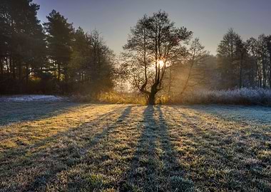 Frosty Frost Rural Season