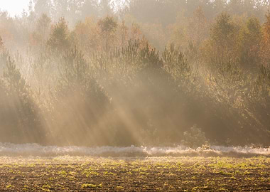 Frosty Frost Rural Season