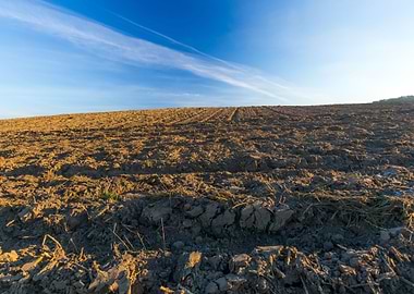 Green Field Environment Pl