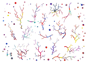 Blood vessels of eye