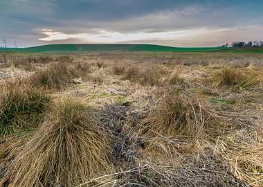 Animals Away Background Ba