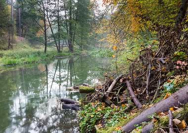 Season Landscape River Pol