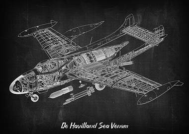 De Havilland Sea Venom