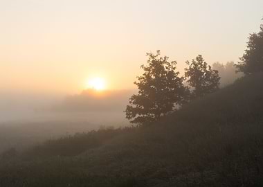 Morning Rural Misty Mist L