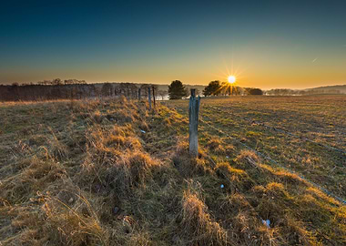 Animals Away Background Ba