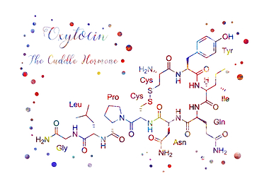 The Cuddle Hormone