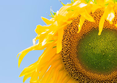 Outside Outdoor Overcast P