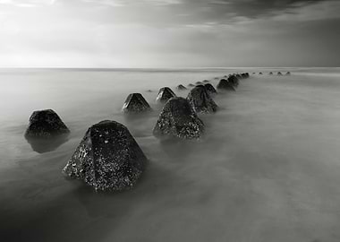 Dinosaur triangle back