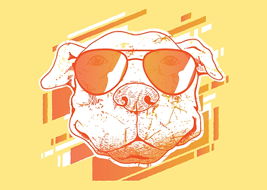 Dog with sunglasses summe