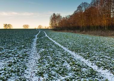 Landscape Frost Field Sky