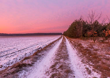 Landscape Frost Field Sky