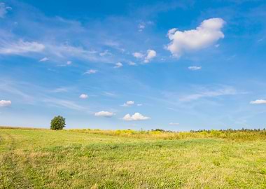 Landscape Land Green Field