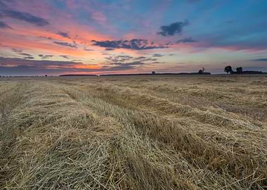 Agriculture Nature Harvest