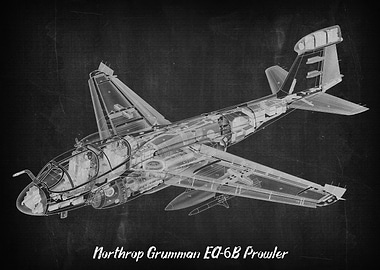 Northrop Grumman EA6B Pro