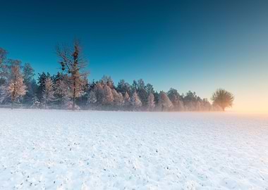Landscape Frost Field Sky