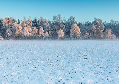 Landscape Frost Field Sky