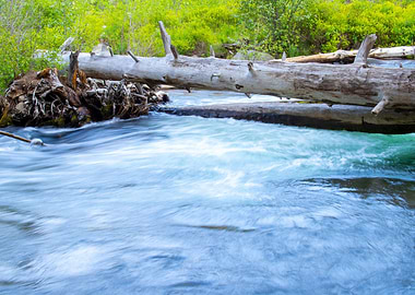 The Rushing Tumalo 3