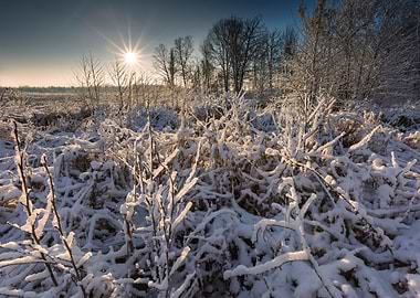 Landscape Frost Field Sky