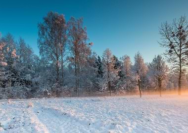 Landscape Frost Field Sky