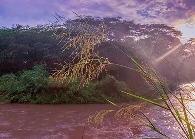 Sunrise view of Ishasha