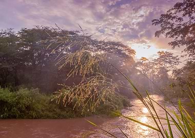 Sunrise view of Ishasha