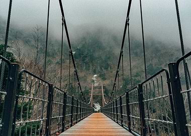 Suspended Bridge Mountains