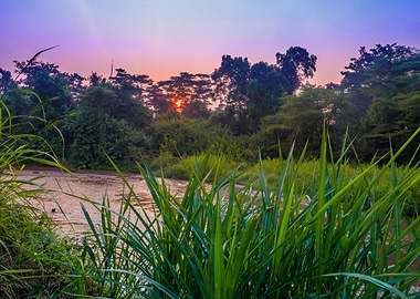 Sunrise on Ishasha river