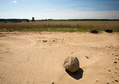 Dry Grass Landscape Nature