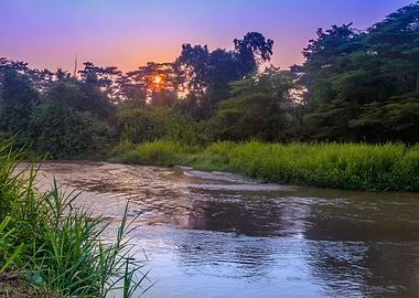 Sunrise on Ishasha river