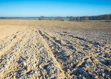 Green Field Environment Pl