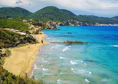 View of Figueral beech