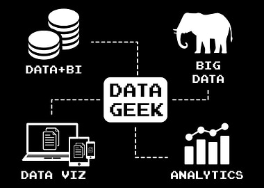 Data Scientist Analyst