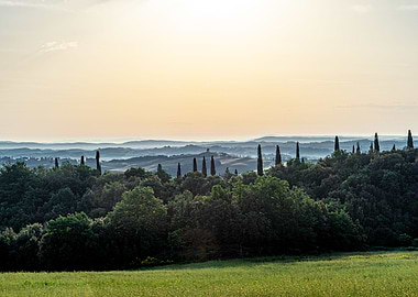 Tuscan Sunrise