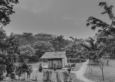 Sunset in Ishasha Uganda