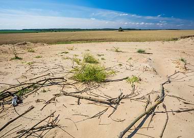 Dry Grass Landscape Nature