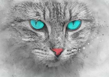 Cat With Blues Eye