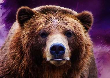 Bear Portrait