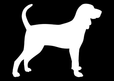 Black and Tan Coonhound