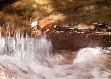 Canal Canals Green Hike Hi