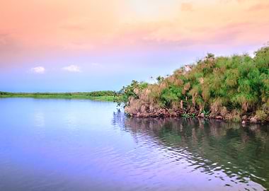Sunset on Mabamba Swamp