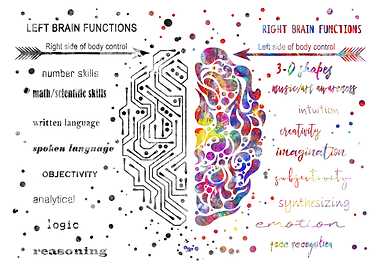 Left and right brain